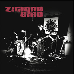 Zigman Bird - Vasoline