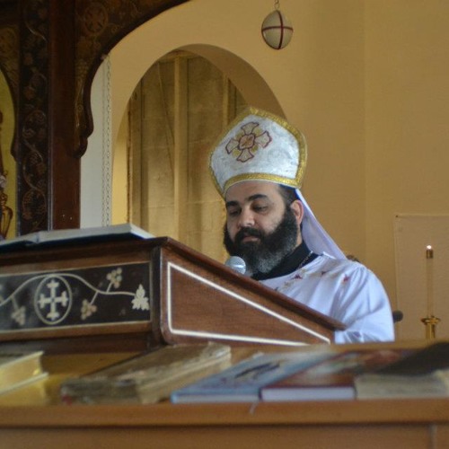 Introduction to the Fraction/Lent Fraction - Fr. Daniel Abdelmaseeh