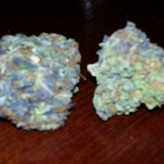 Jada Freestyle/ Thrillz feat. HD