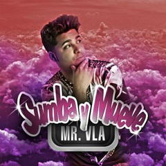 Mr. Vla - Sumba Y Mueve (Christopher Vitale Radio Edit)