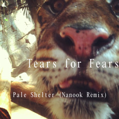 Tears For Fears - Pale Shelter (Nanook Remix)