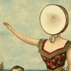 King Of Carrot Flowers Pt. 1 (neutral milk hotel cover)