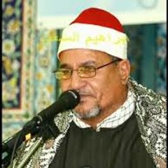 الشيخ محمد عبد الوهاب الطنطاوي