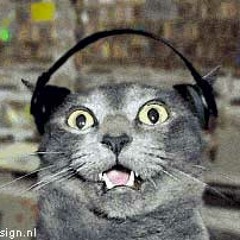 Jacques Lu Cont & Alex Metric ft Malin vs Stardust - Safe With Music (Ronko's Mashup)