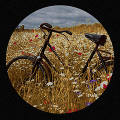 "Le Vélo" soundtrack (2014) - Je suis triste