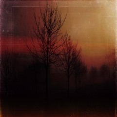 Nyctophilia