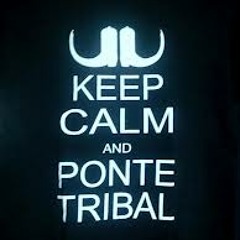 Tribal Pachanguero Marzo 2014