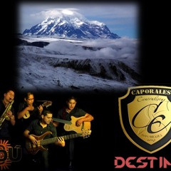 Grupo ANDU, "DESTINO"