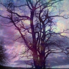 Rapture - The Past Nightmares (vocal Cover)