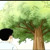 Artwork for Memories of zelkova
