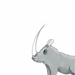 Humdinger (Acoustic Ambient Freeform)