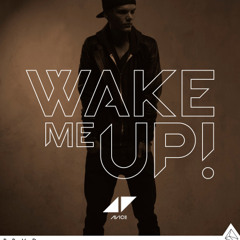 Avicii - Wake Me Up ft. Aloe Blacc (Reflexx Remix)