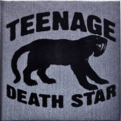 Teenage Death Star - All That Glitters Are Not Gold