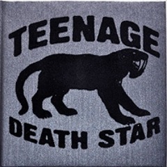 Teenage Death Star - Absolute Beginner Terrror