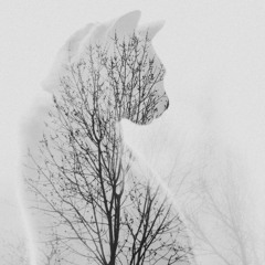 Let Me Go, Set Me Free