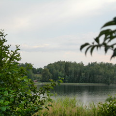 Ecrin Des Marais