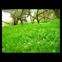 أهل الطلعات