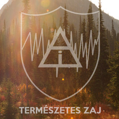 Esti Kornél - Bodogság te kurva cover "Természetes Zaj"