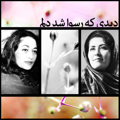 دیدی که رسوا شد دلم