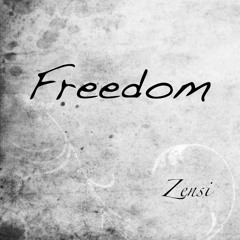 ► Hamilton & Boynton - Freedom (Zensi Edit) ◄