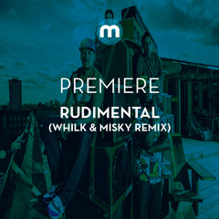 Premiere: Rudimental 'Powerless' (Whilk & Misky remix)