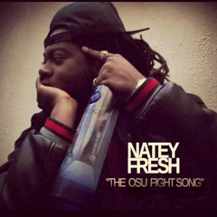 Ohio State Fight Song