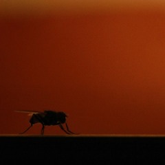 Want A Cookie  << How very Sexy! >> (2014-03-09)