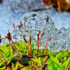Defrost