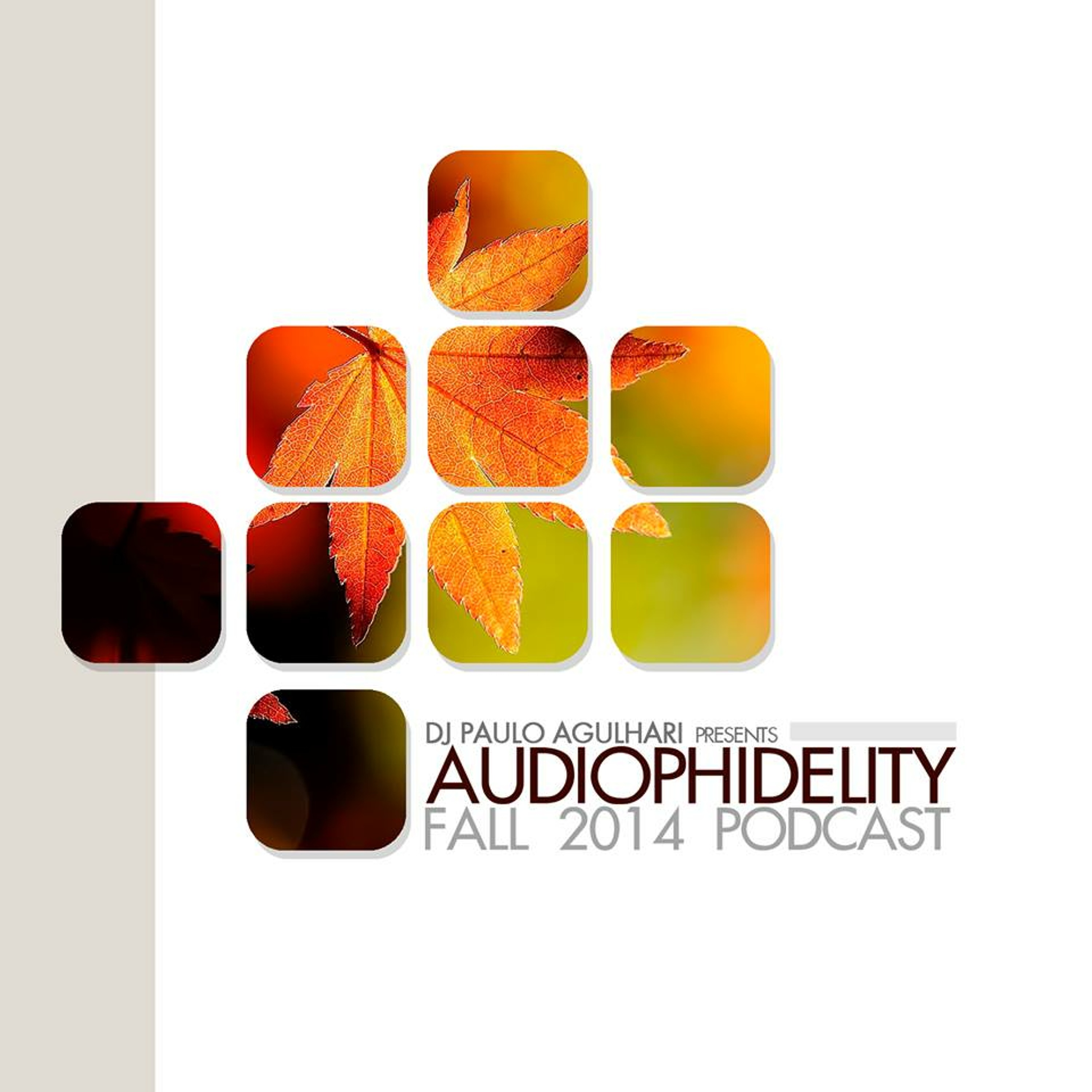 DJ Paulo Agulhari