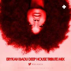 ErykahBaduDeepHouseTribute - Mixed by MlaMza