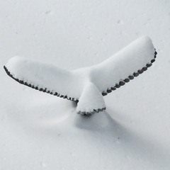 late winter