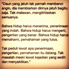Daun Jatuh (Guitar solo)