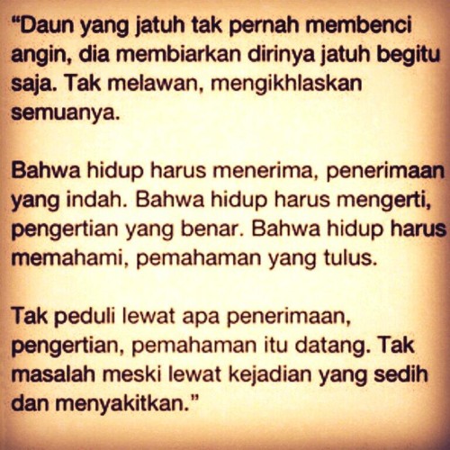 Daun Jatuh (Guitar solo)