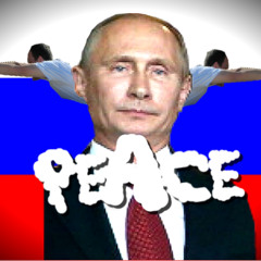 Dear Vladimir Putin