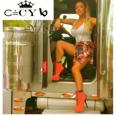 Cecy B- All I Do is Werk (Radio edition)