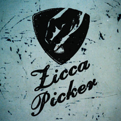 Zicca Picker 2014