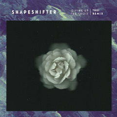 Shapeshifter | Giving Up The Ghost [TREI Remix]