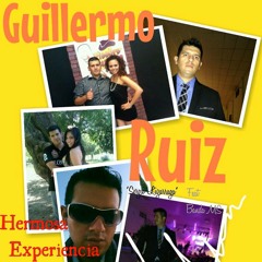 Guillermo Ruiz-Hermosa Experiencia