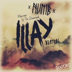 Marina & The Diamonds - Numb [illay x beatrag bootleg]