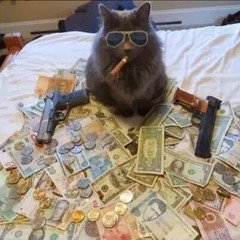 La Poisse - Gangsta Cat