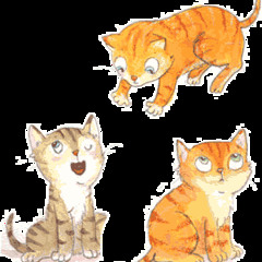 Trois Petit Chat