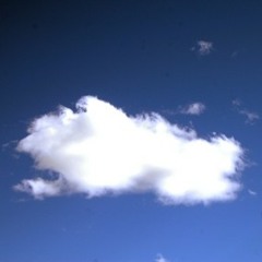 Sometimes you're better off dead-Human Loop.