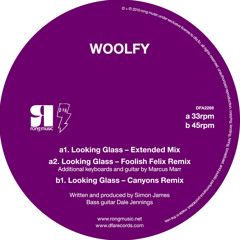 Woolfy - Looking Glass (Flx's Acid Mix)