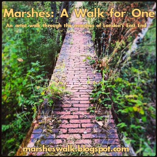 Marshes: A Walk for One