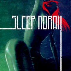 Silent Burden (full interlude)- SLEEP NORAH