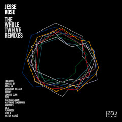 Jesse Rose - Species (Ninetoes Remix) (Play It Down)