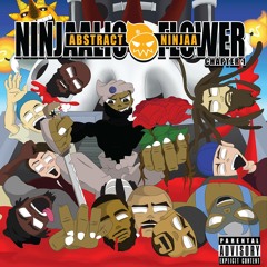Abstract ninjaa - Capital Assassin