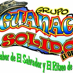 Grupo Guanaco Solido / David Diaz (locutor radio fiesta) el trata-traca