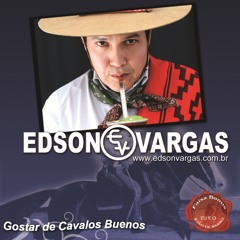 GAÚCHO E CHILENO