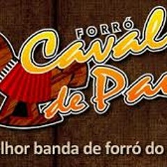 Cavalo de Pau - Timidez.
